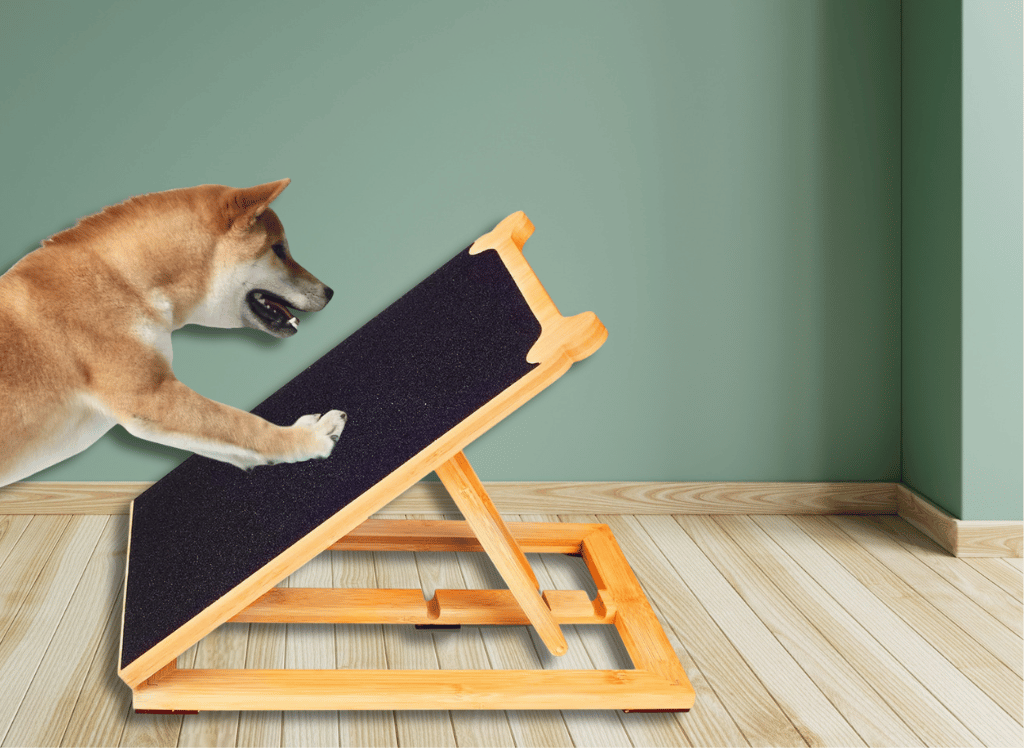 The 5 Best Dog Scratch Pads of 2024