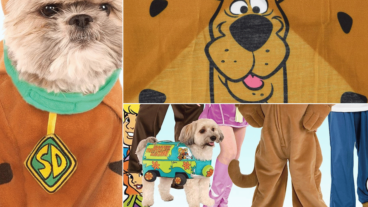 Unleashing Mystery Inc. Top 5 Scooby Doo Dog Costume Picks for Your
