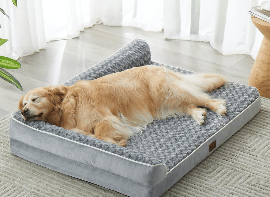 Ultimate 5 Dog Beds with Removable Covers for Easy Clean!