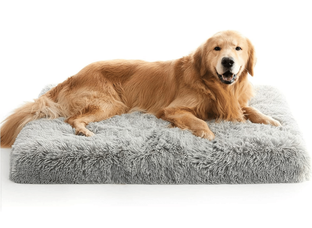 Ultimate 5 Dog Beds with Removable Covers for Easy Clean!