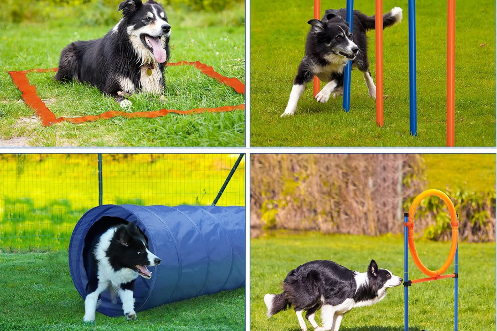 Dog Agility Training Equipment, 60-Piece Dog Obstacle Course Training Starter Kit Pet Outdoor Game with Tunnel, Agility Hurdle, Weave Poles, Jump Ring, Pause Box, Toy Balls and Storage Bag