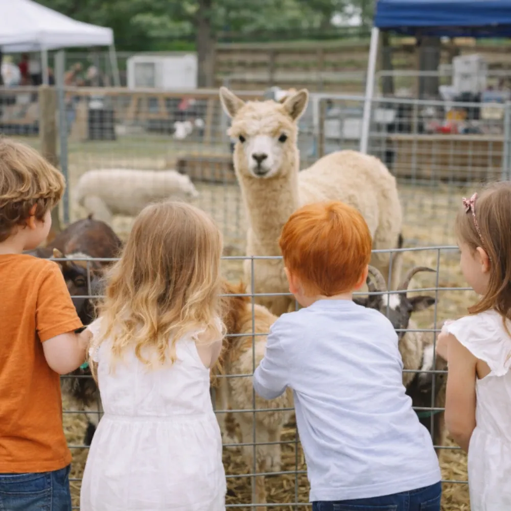 🧒 What Kids and Guests Can Expect