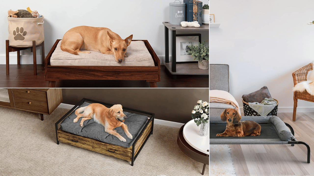Ultimate 5 Dog Beds with Removable Covers for Easy Clean!