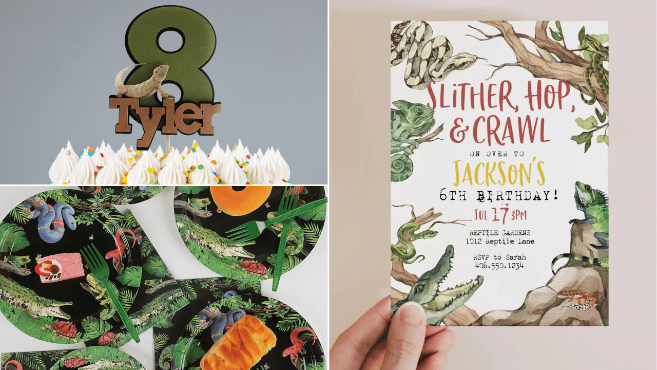 6 Jaw-Dropping Reptile Birthday Party Supplies!