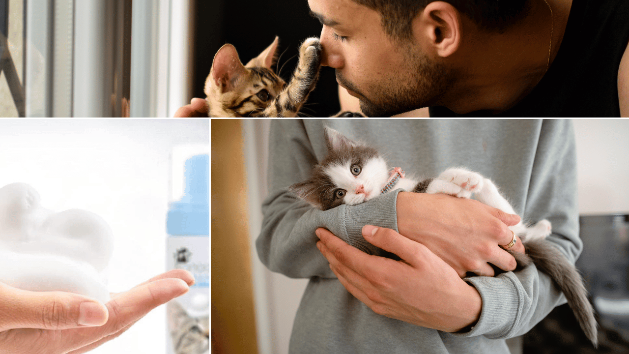๐ฑ Wave Goodbye to Dirt with These 4 Kitten Shampoo Faves! ๐พ