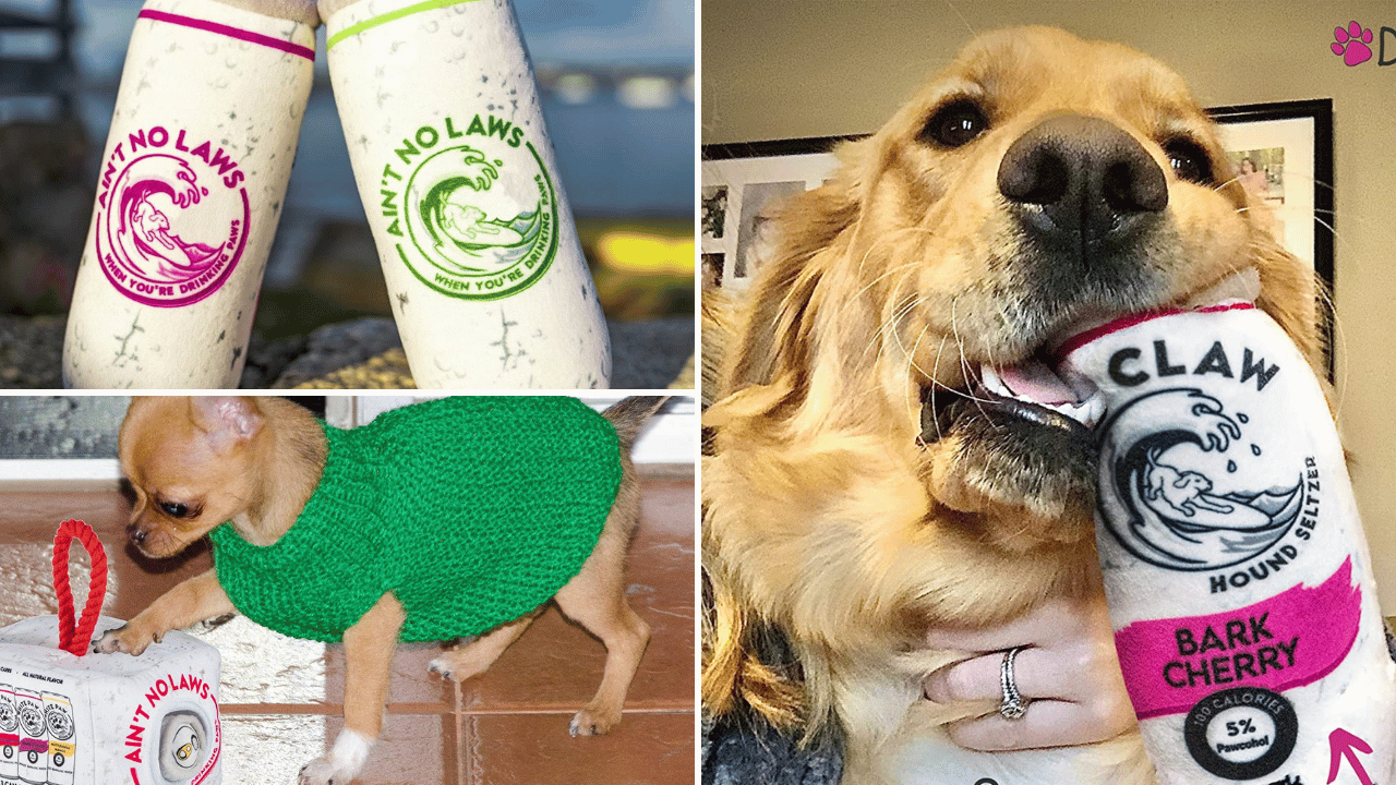 white paw dog toy