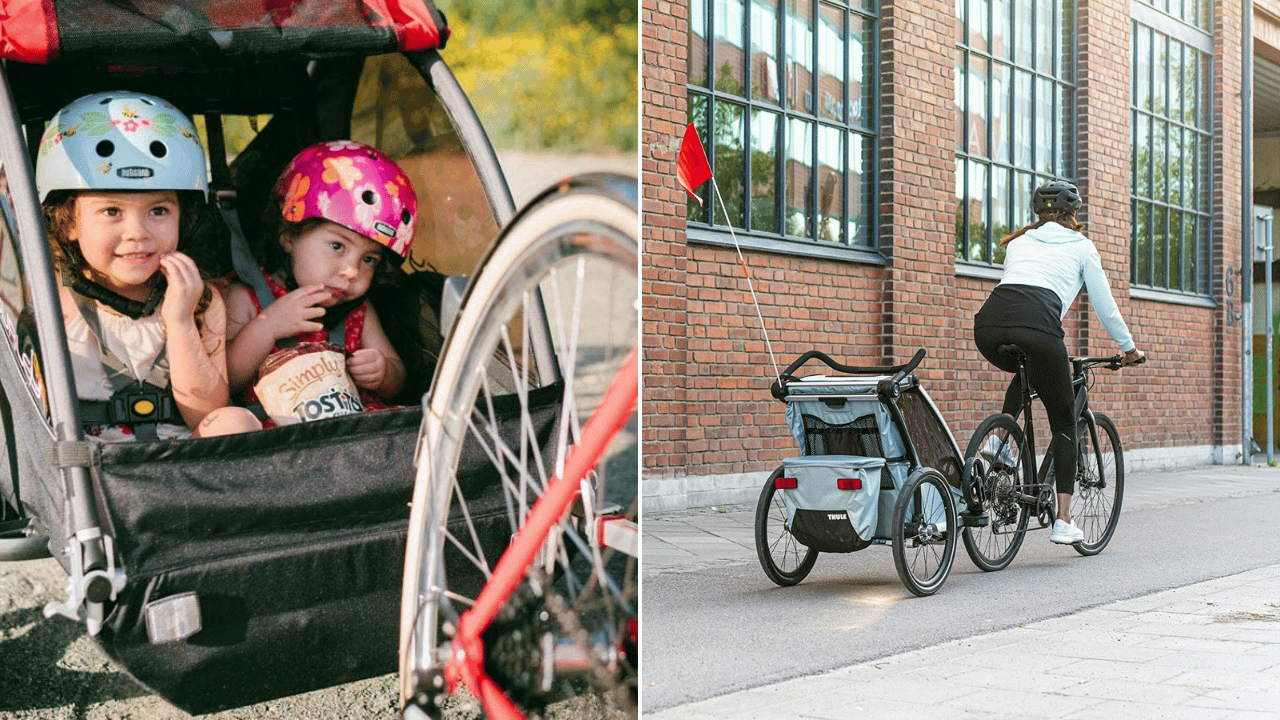 Bike Stroller