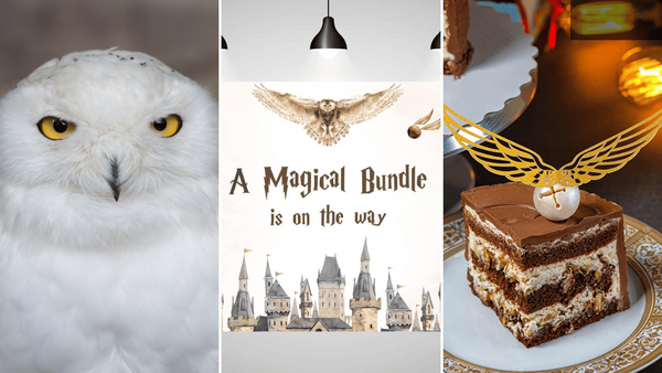 Harry Potter Baby Shower