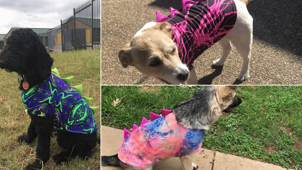 Dog Dragon Costume