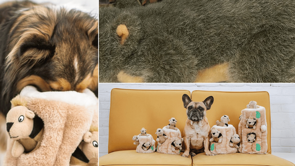Squirrel Dog Toy