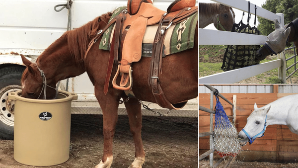 Slow Feeders for Horses