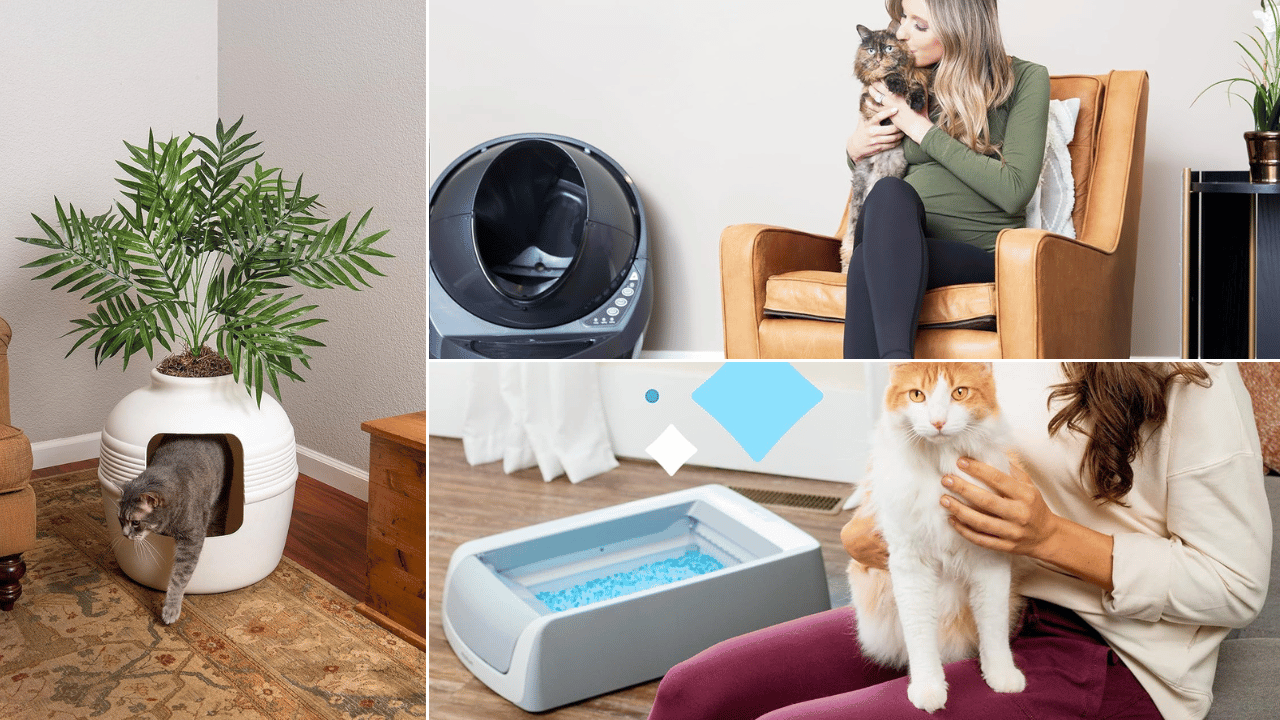 multi cat litter box