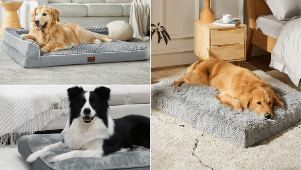 dog bed with removable cover