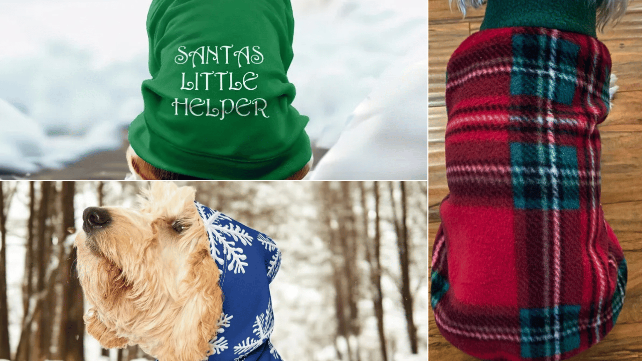 Christmas Dog Sweater