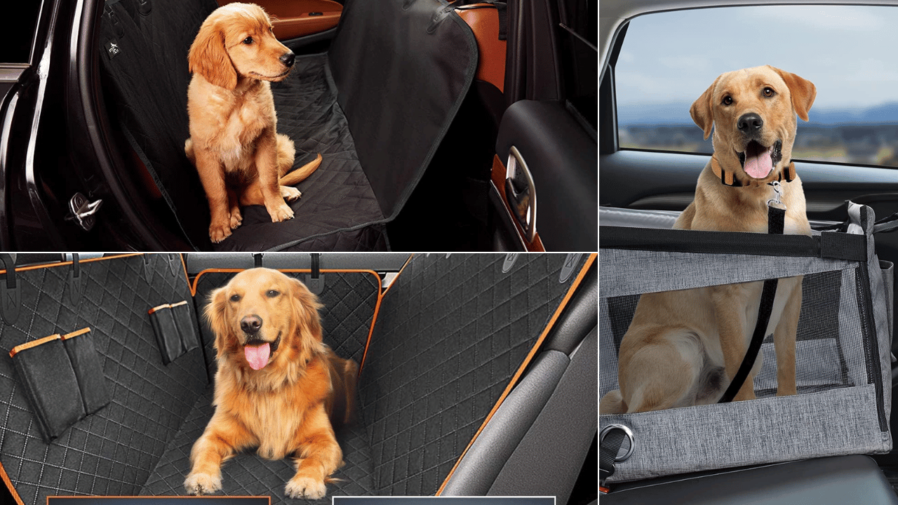 large dog car seat