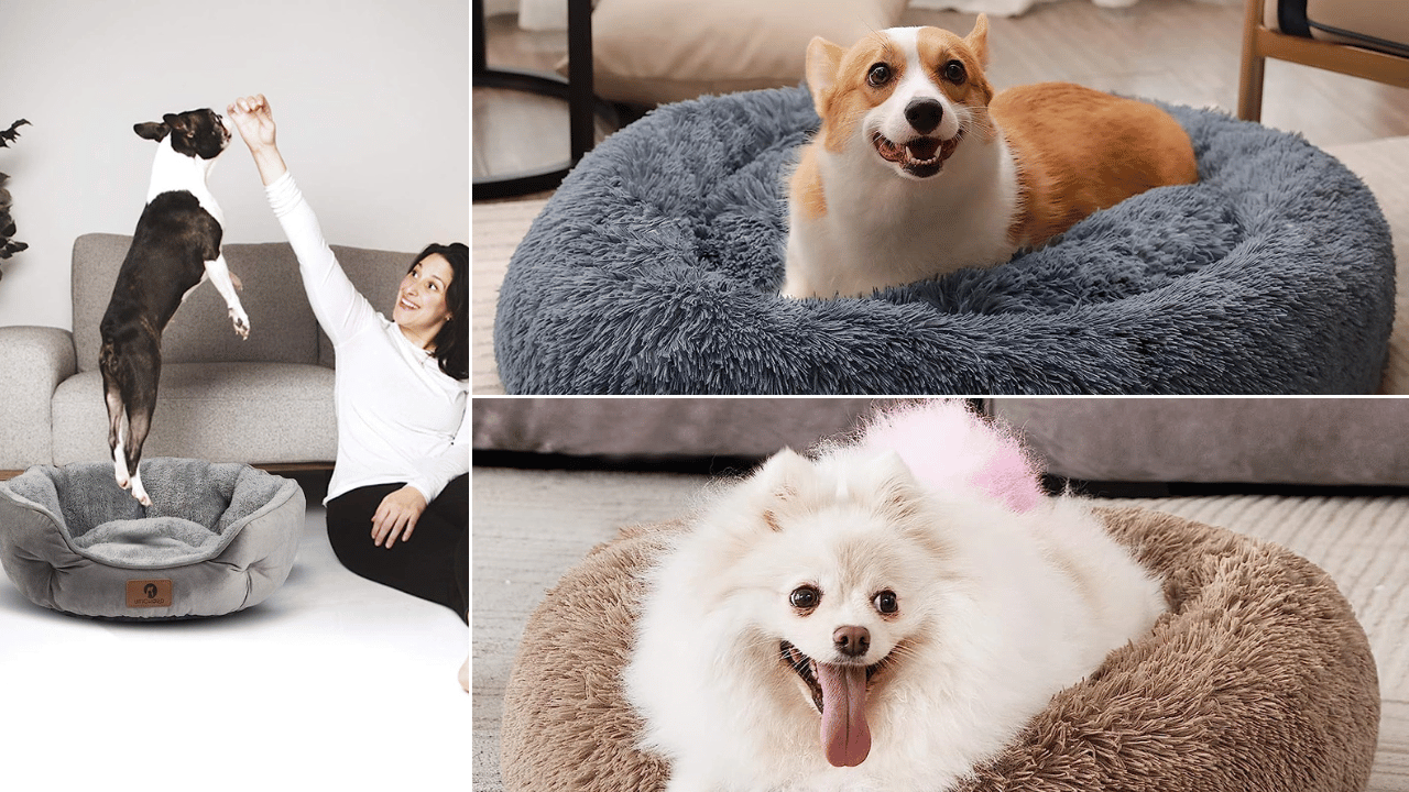 round dog bed